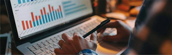 hands typing on a laptop viewing statistics